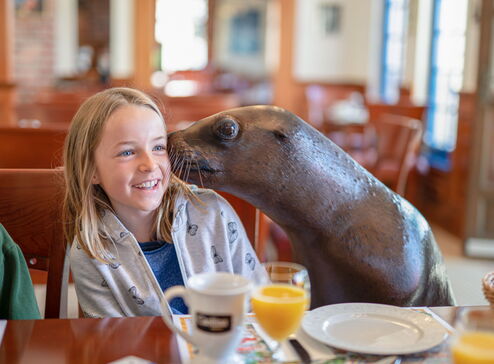Dieses Mädchen wird von einem Seelöwen auf die Backe geküsst.