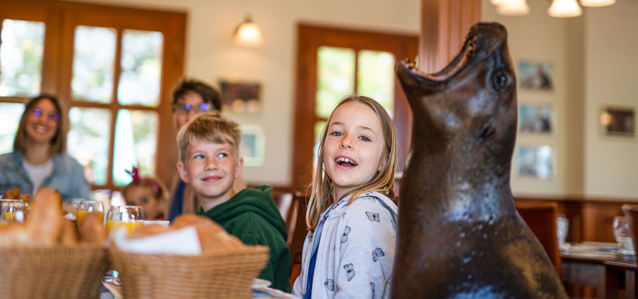 Dieses Mädchen wird während dem Frühstück von den Seelöwen überrascht.