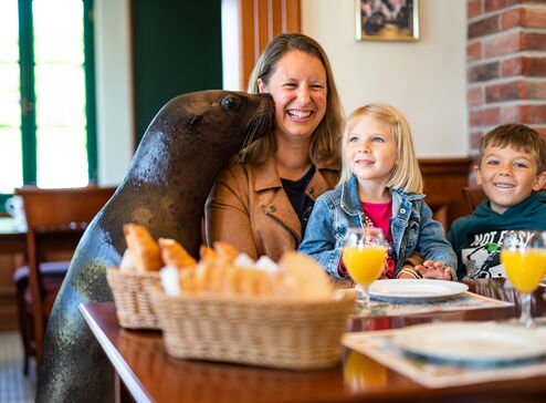 Diese Familie wird während dem Frühstück von einem Seelöwen besucht.