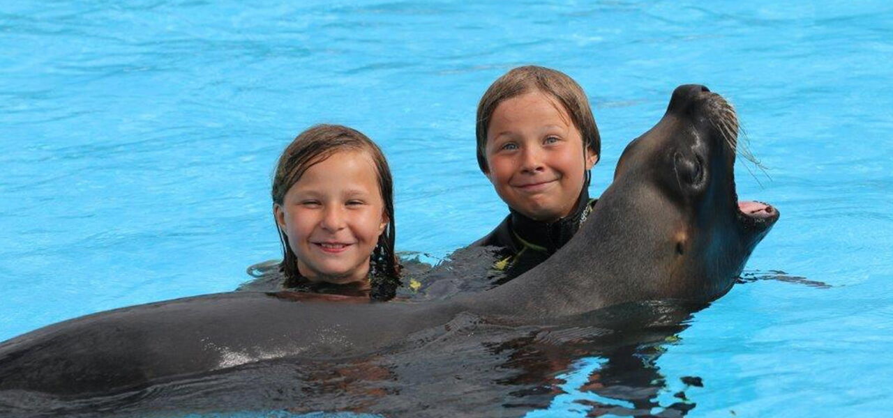Im CONNY-LAND kann man mit den Seelöwen schwimmen. Diese beiden beiden Kindern gefällt es.